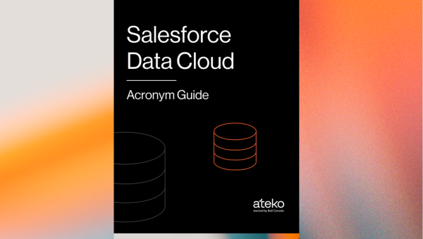 Salesforce Data Cloud Acronym Guide