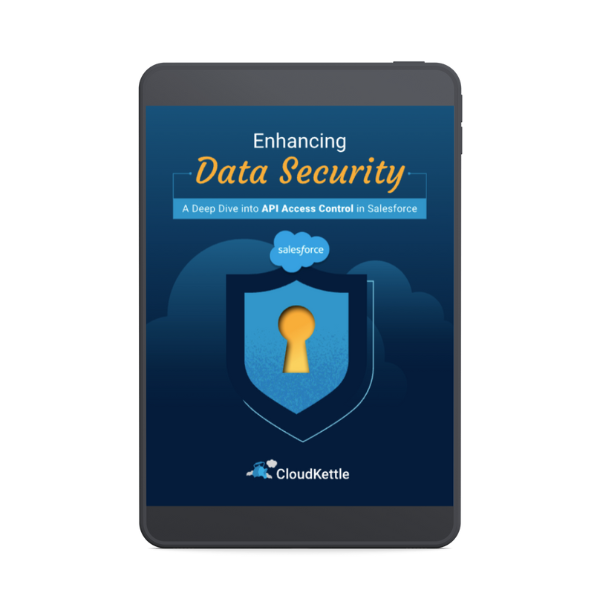 Enhancing Data Security: API Access Control in Salesforce cover