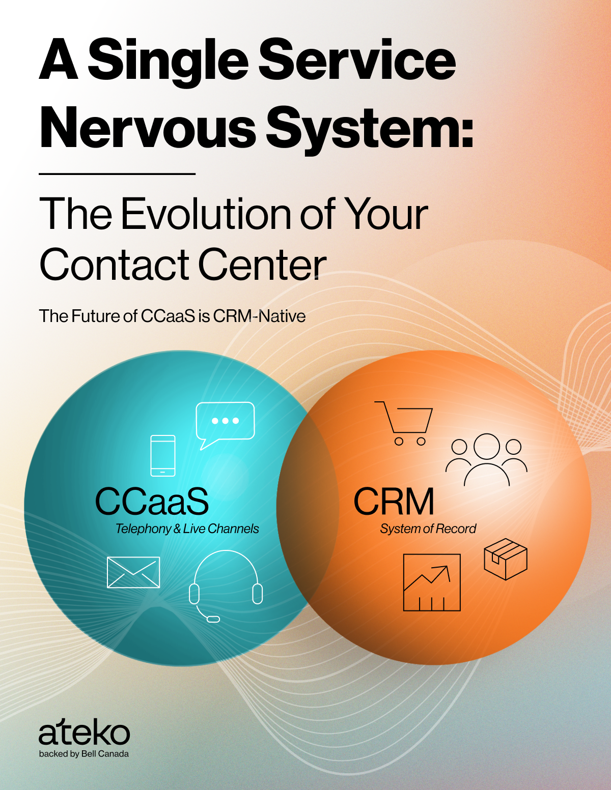 A single Service Nervous System title image